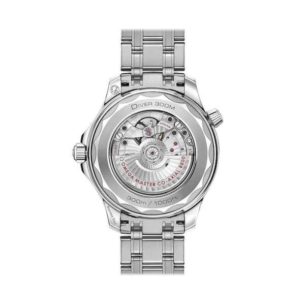 4fa0143add4ef083d5ce7fb65f629226 Omega Seamaster Men Automatic Black Stainless Steel Watch O21030422001001